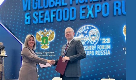 Договор о сотрудничестве САФУ с крупным форелеводческим заводом даст новый толчок развитию аквакультуры в Поморье