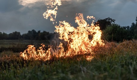 За неделю в Архангельской области произошло 37 пожаров 