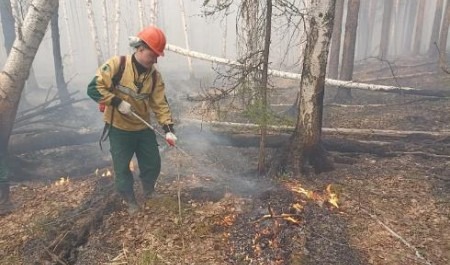 В Архангельской области 2 октября завершится пожароопасный сезон