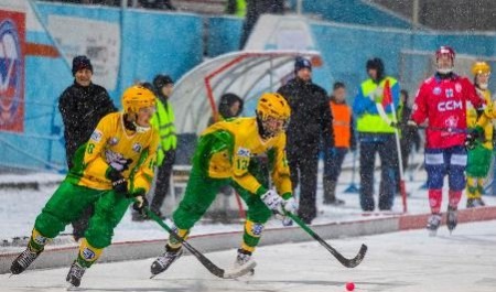 Восьмая победа в серии: архангельский «Водник» победил новосибирский «Сибсельмаш»
