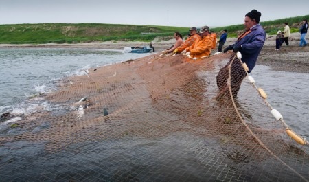 В Архангельске обсудили причины снижения освоения квот на рыбу