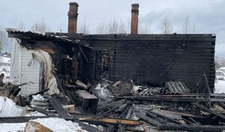 В Плесецком округе пьяный неадекват спалил дом вместе с женщиной
