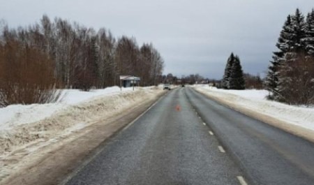 Пьяный автолюбитель насмерть переехал женщину на юге Архангельской области