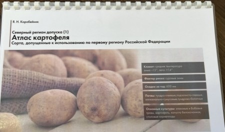 Аграрии Поморья могут воспользоваться атласом сортов картофеля, адаптированных к условиям Севера