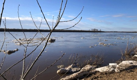 На реках Архангельской области ледоход проходит в штатном режиме