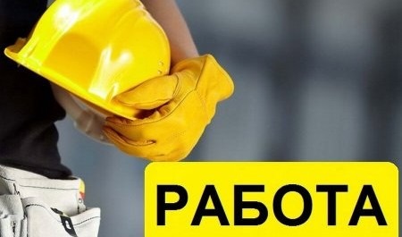 Рынку труда Архангельской области больше требуются умелые руки, чем умные головы