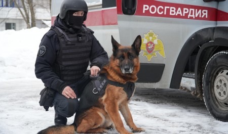 Собака Росгвардии нашла схрон с тротилом в Архангельской области