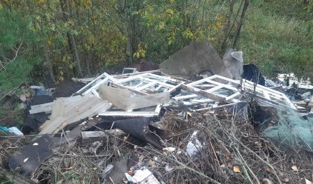 Прокуратура обнаружила в Холмогорском округе бесхозную свалку мусора