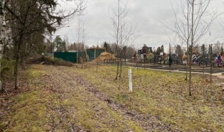 Администрации Котласского округа вчинили иск за неухоженное кладбище