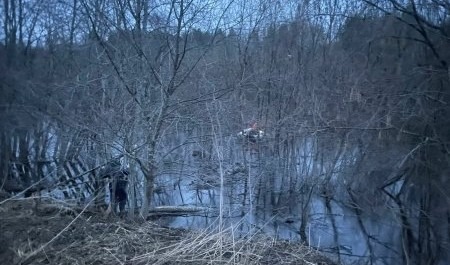В поморской реке Устья ищут тело утонувшего мужчины