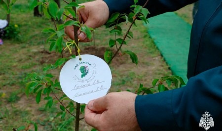 Сотрудники МЧС России сажают деревья в память о советских людях погибших в годы ВОВ