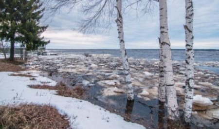Лед тронулся: прорван затор на Северной Двине в 200 км от Архангельска