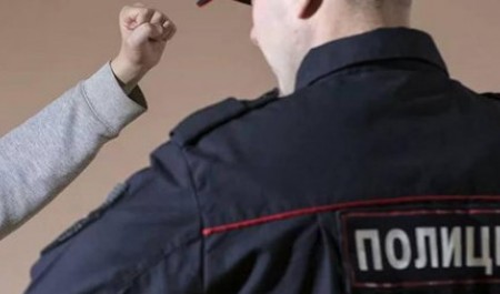 Пьянчужки из Плесецкого округа избили полицейского