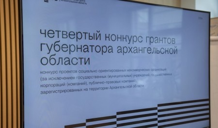Проекты, поданные на конкурс грантов губернатора Архангельской области, проходят экспертизу