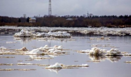 Сроки подхода основного ледохода к Архангельску снова сдвинулись