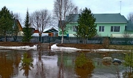 Около 500 жителей Холмогорского округа остались сегодня без электричества