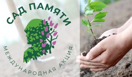 В Поморье в рамках акции «Сад Памяти – 2024» планируется высадить более миллиона деревьев