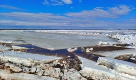 Почти у Архангельска: ледоход находится в 48 километрах от города