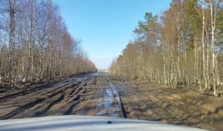 Глава Северодвинска прокомментировал плохое состояние дороги в СНТ «Уйма»