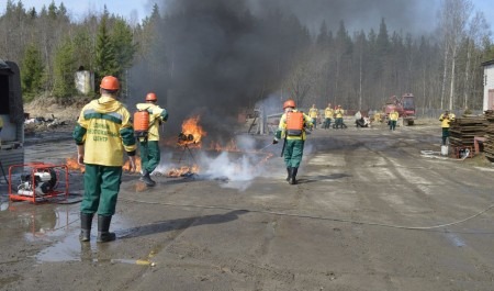 В правительстве Архангельской области обсудили готовность сил и средств к борьбе с лесными пожарами