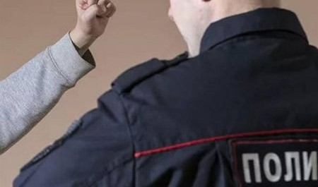 Жительница Северодвинска обидела полицейского словесно и действием
