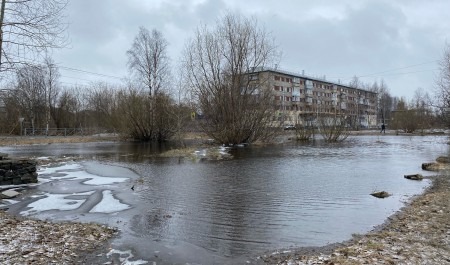 В Северном округе Архангельска разлилась лужа-озеро