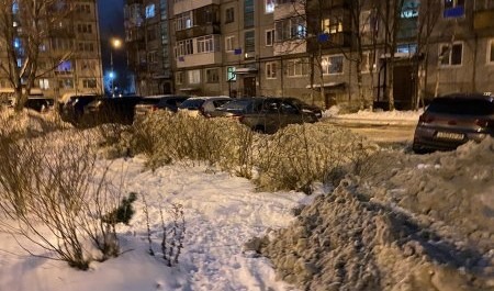 В Северодвинске бизнесмен и директор МУП наживались на вывозе снега