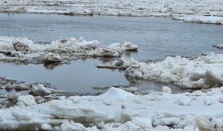 По всей реке Пинеге понижается уровень воды