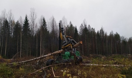 «Вологодские лесопромышленники» купили у финнов лесопильные активы