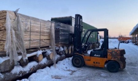 В Поморье осудили водителя погрузчика, насмерть придавившего рабочего древесиной