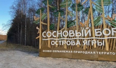 Проект благоустройства Большой Ягринской тропы отмечен как одна из лучших практик по развитию городской среды в России