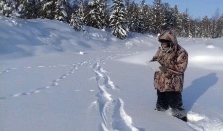 В Архангельской области подвели итоги зимнего учета охотничьих ресурсов