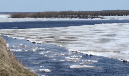 На реке Мезени продолжается активный ледоход