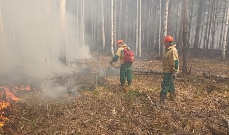 Минлеспром Поморья напоминает о необходимости строго соблюдать в лесах правила пожарной безопасности