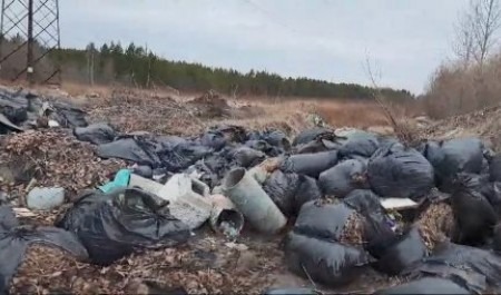 Пригород Новодвинска завалили отходами после субботников