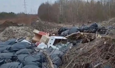 Новодвинцы бьют тревогу: после субботников городская окраина погрязла в мусоре 