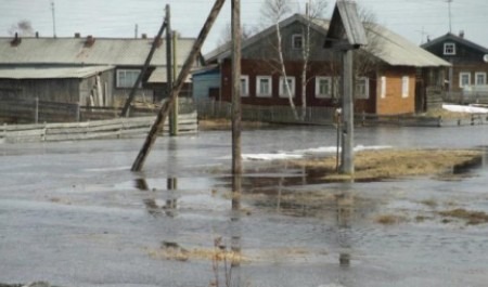 Вышедшая из берегов река затопила деревню в Архангельской области