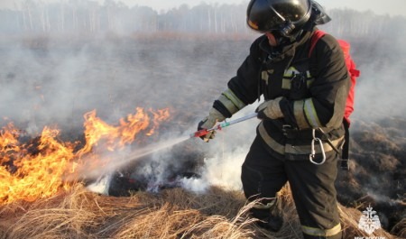 МЧС: особый противопожарный режим действует в 47 регионах