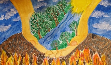 В Архангельской области подвели итоги конкурса «Защитим лес от пожаров»