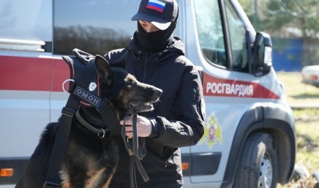В Архангельске с почестями проводили на заслуженный отдых служебную собаку Росгвардии