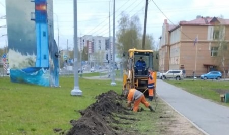 В Архангельске посадят кусты сирени на Ленинградском проспекте