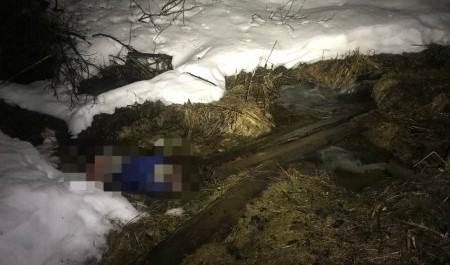 Житель Устьянского района утопил убитого им знакомого в ручье