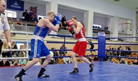Архангельск готовится принять чемпионат СЗФО по боксу