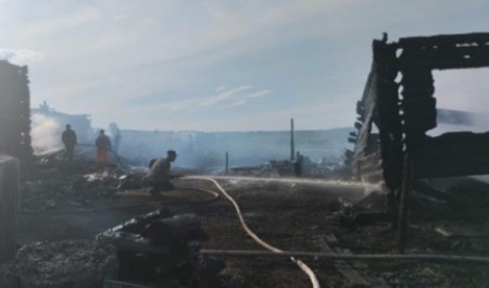 Тушили и пожарные, и местные: в Поморье огонь едва не уничтожил целую деревню