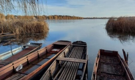 Пьяный мужчина с юга Архангельской области утонул во время катания на лодке