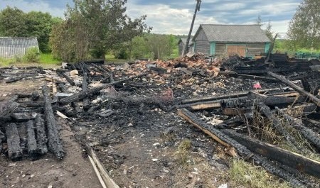 Пожилые мать и дочь погибли в огне пожара в Плесецком округе