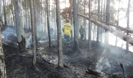 В «Онежском Поморье» ликвидирован пожар у озера Сеяцкого