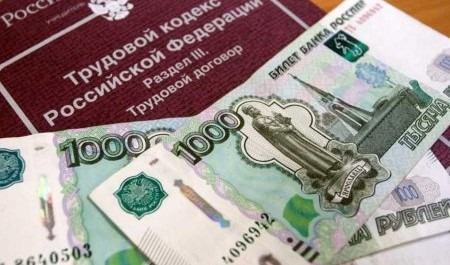 Каргопольский бизнесмен выплатит работникам зарплату по суду
