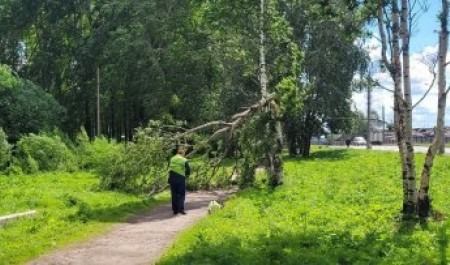 Архангельск ликвидирует последствия ночного урагана