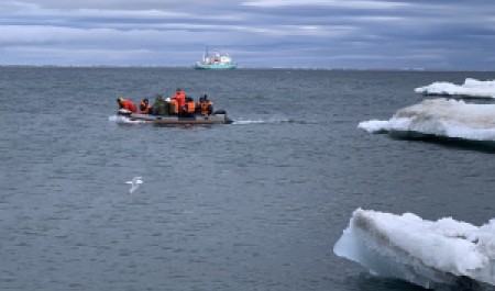 Дневники Арктического плавучего университета: день восьмой
